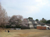DSC04878.JPG