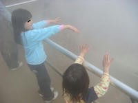 DSC04881.JPG