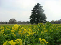 DSC04893.JPG