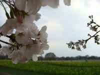 DSC04894.JPG