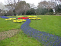 DSC04906.JPG