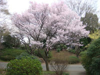 DSC04908.JPG