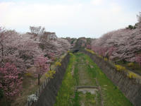 DSC04911.JPG