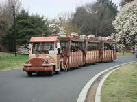 DSC04913.JPG
