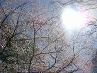 DSC04947.JPG