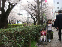 DSC04989.JPG