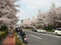 DSC04992.JPG