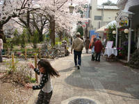 DSC04998.JPG
