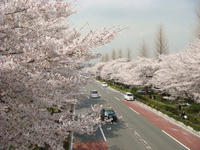 DSC05004.JPG