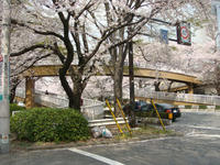 DSC05010.JPG