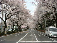 DSC05033.JPG