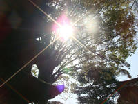 DSC05116.JPG