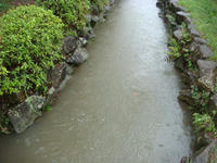DSC05140.JPG
