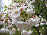 DSC05142.JPG