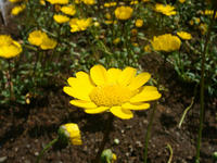 DSC05151.JPG