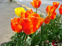 DSC05152.JPG