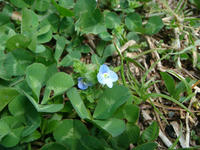 DSC05153.JPG