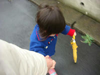 DSC05161.JPG
