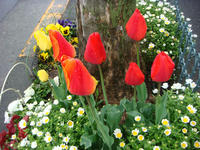 DSC05162.JPG