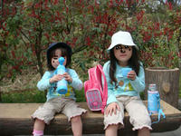DSC05212.JPG