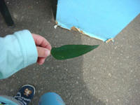 DSC05236.JPG