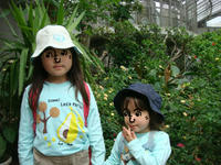 DSC05286.JPG