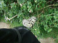 DSC05293.JPG