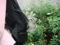 DSC05302.JPG