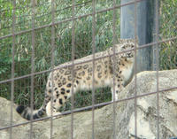 DSC05210.JPG