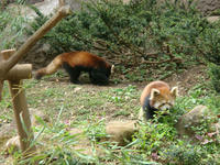 DSC05215.JPG