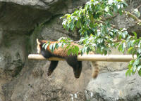 DSC05218.JPG