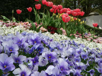 DSC05234.JPG