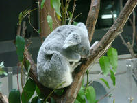 DSC05239.JPG