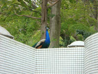 DSC05247.JPG
