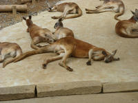DSC05248.JPG