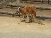 DSC05250.JPG