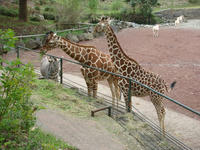 DSC05269.JPG