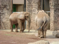 DSC05275.JPG