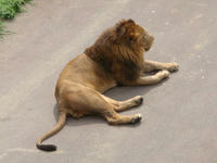 DSC05278.JPG