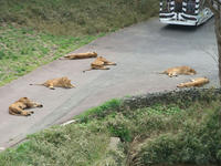 DSC05280.JPG