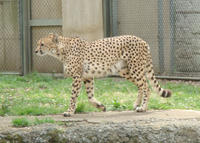 DSC05283.JPG