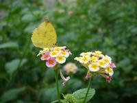 DSC05289.JPG