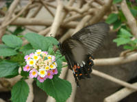 DSC05317.JPG