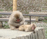 DSC05325.JPG