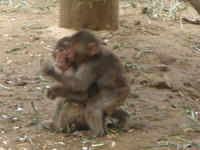 DSC05327.JPG