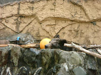 DSC05332.JPG