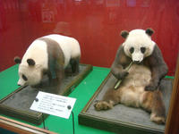 DSC05353.JPG