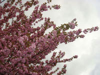 DSC05408.JPG