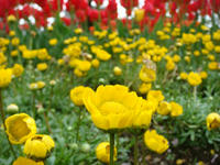 DSC05415.JPG