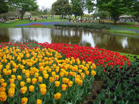 DSC05444.JPG